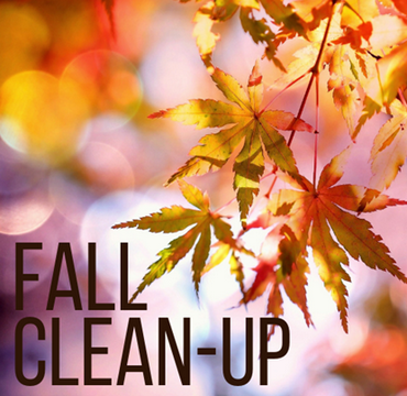 Fall_Cleanup_370x360
